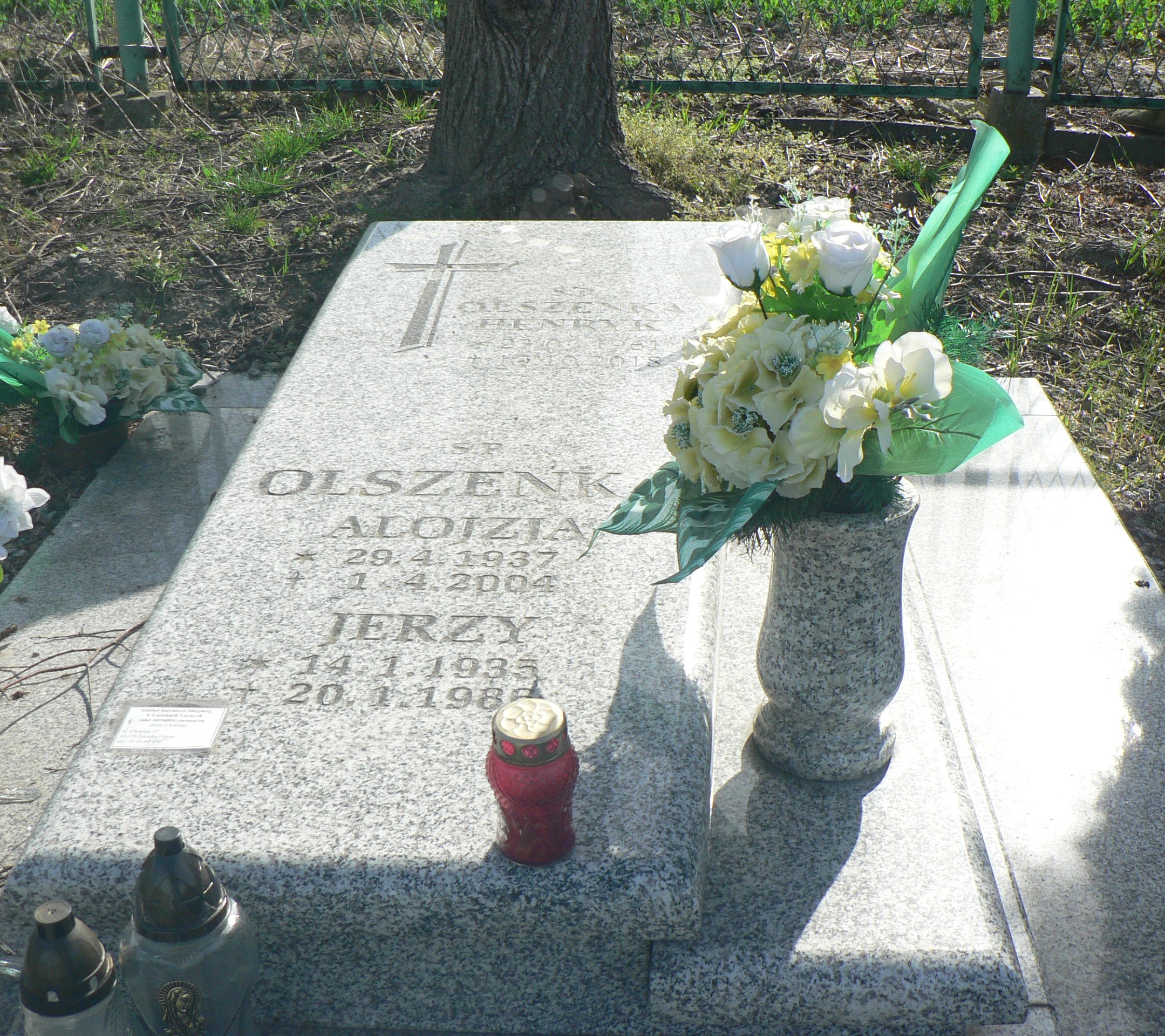 Alojzja Olszenka 1937 Łaziska Górne - Grobonet - Wyszukiwarka osób pochowanych
