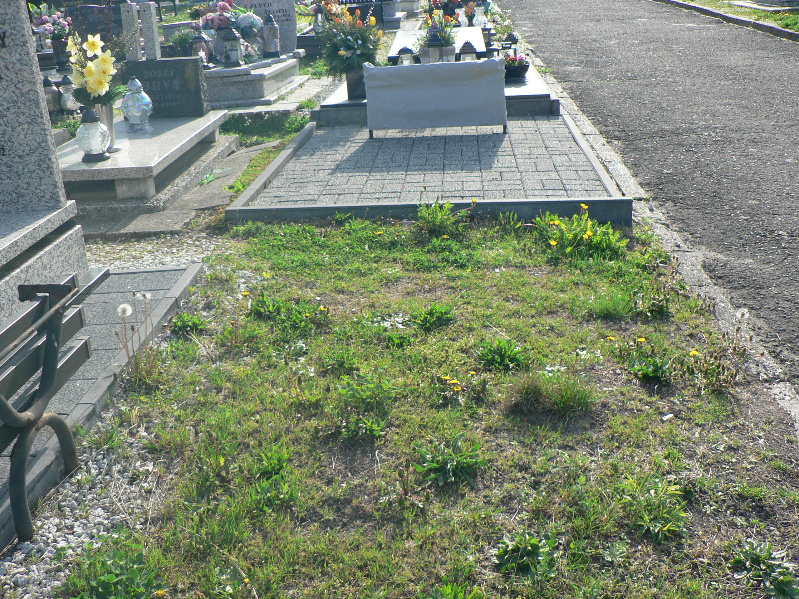 Grób Jarosław Promis