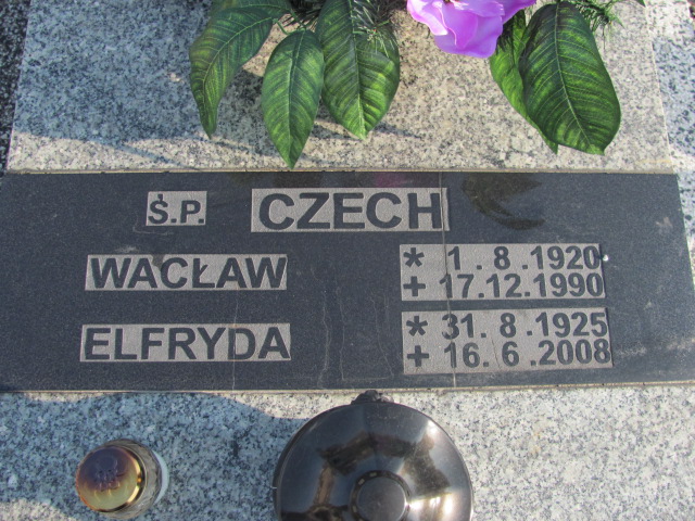 Wacław Czech 1920 Łaziska Górne - Grobonet - Wyszukiwarka osób pochowanych