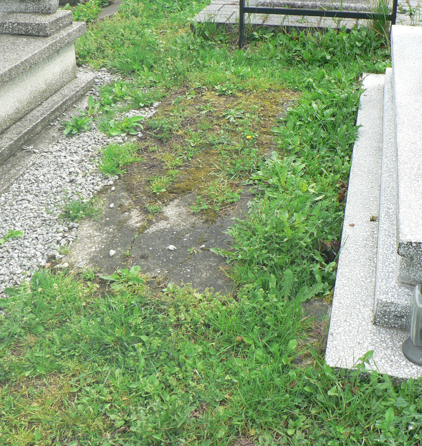 Grób Eugeniusz Goławski